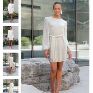 Jenny Yoo Angie dress - Silver/Nude